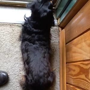 Meet your Posher, Donna